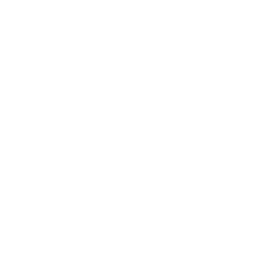 Bertone Collection